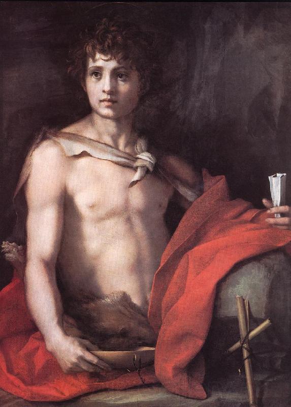 Andrea del Sarto St John the Baptist France oil painting art